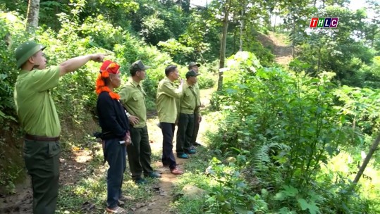 Tăng cường lãnh đạo, bảo vệ và phát triển rừng ở Văn Bàn