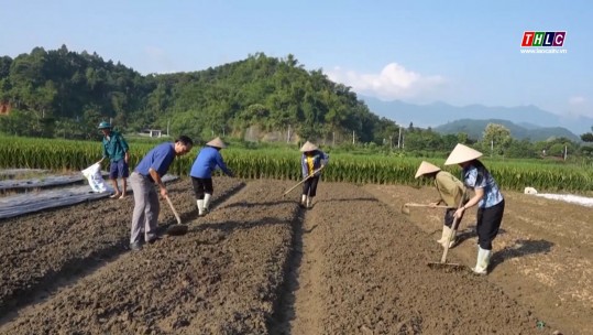 Thời sự Lào Cai 11h30 (20/9/2024)