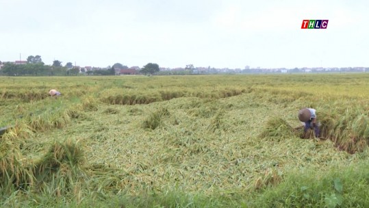 Tây Bắc chuyển động (20/9/2024)