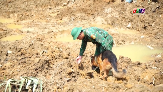 Thời sự Lào Cai 9h30 (23/9/2024)