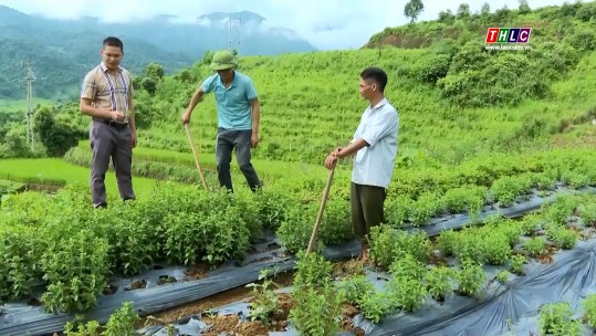 Nông nghiệp - Nông thôn: Xây dựng nông thôn mới (24/9/2024)