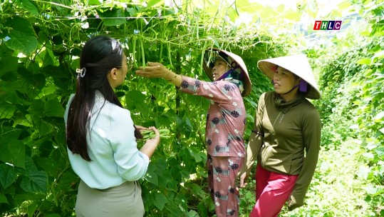 Phụ nữ liên kết phát triển kinh tế