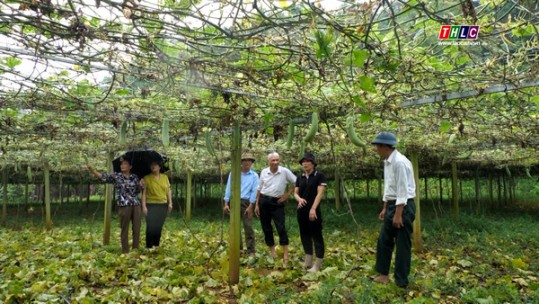 Dân tộc và phát triển (24/9/2024)