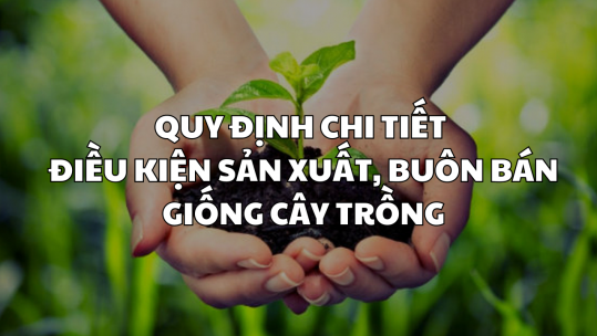 Quy định chi tiết điều kiện sản xuất, buôn bán giống cây trồng