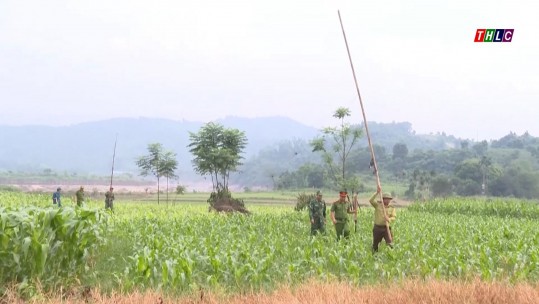 Siết chặt kiểm soát, bảo vệ chim di cư trước nạn săn bắt trái phép