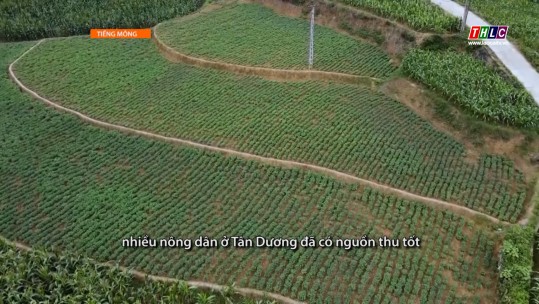 Nông nghiệp - Nông thôn (tiếng Mông) (29/9/2024)