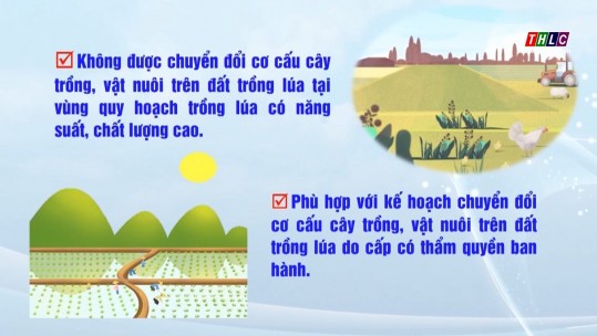 Quy định về chuyển đổi cơ cấu cây trồng, vật nuôi trên đất trồng lúa