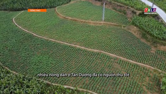 Nông nghiệp - Nông thôn (tiếng Dao) (30/9/2024)