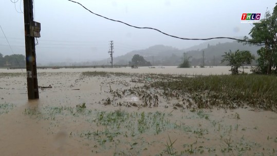 Lào Cai: mưa lớn gây ngập úng, sạt lở tại nhiều vị trí