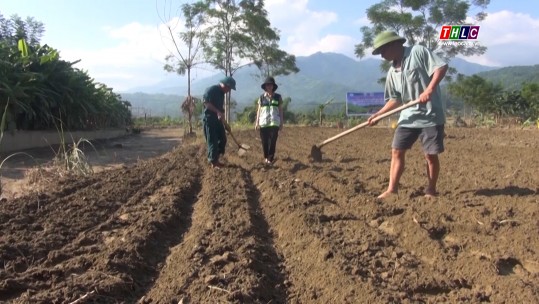 Nông nghiệp - Nông thôn (01/10/2024)