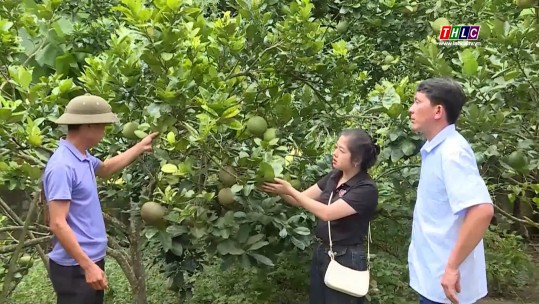 Tây Bắc chuyển động (01/10/2024)