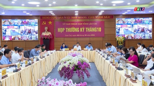 UBND tỉnh họp phiên trực tuyến thường kỳ tháng 10