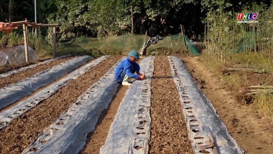 Đồng hành cùng nông dân khôi phục sản xuất