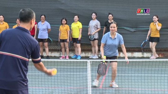 Phòng, tránh chấn thương trong môn thể thao Pickleball