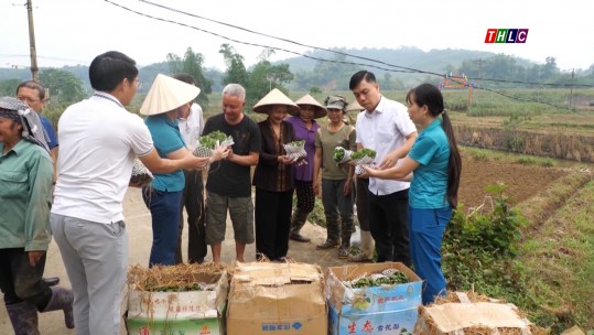 Tăng diện tích cây trồng vụ đông để bù sản lượng lương thực hao hụt sau mưa lũ