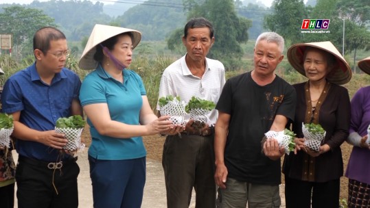 Kết đoàn: Công tác Mặt trận (05/10/2024)