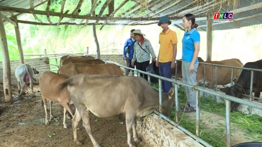 Tây Bắc chuyển động 09/10/2024)