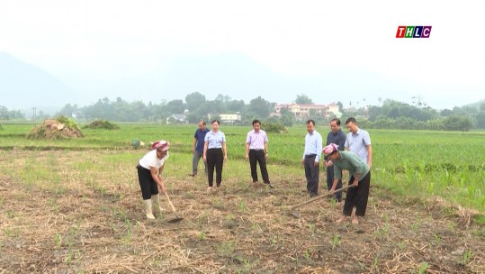 Đảm bảo khung thời vụ và tăng diện tích vụ đông