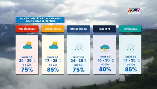 Dự báo thời tiết đêm 15 ngày 16/10/2024