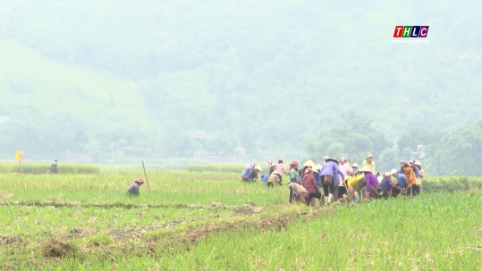 Khẩn trương khôi phục các công trình thủy lợi bị thiệt hại sau mưa lũ