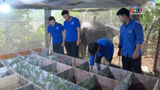 Những nữ đoàn viên thanh niên năng động làm kinh tế ở Khánh Yên Hạ