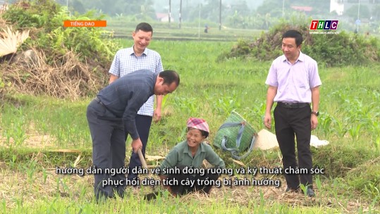 Nông nghiệp - Nông thôn tiếng Dao (21/10/2024)