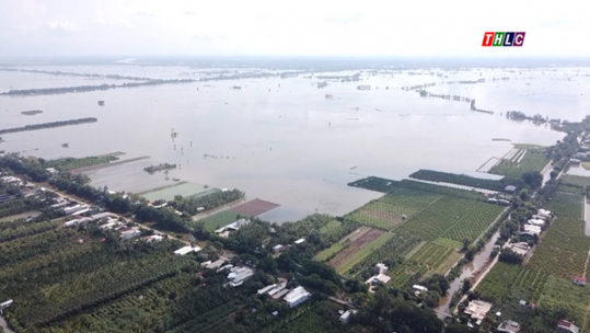 Miền Tây đón “mùa lũ đẹp”