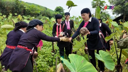 Thời sự Lào Cai 15h00 (22/10/2024)