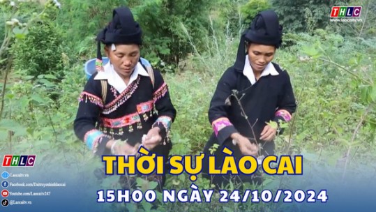 Thời sự Lào Cai 15h00 (24/10/2024)