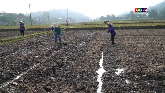 Thứ 7 ra đồng cùng nông dân