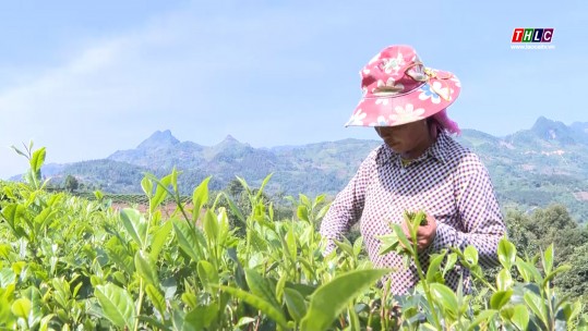 Người dân Mường Khương ứng dụng khoa học kỹ thuật vào sản xuất