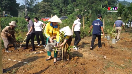 Chuyển đổi cơ cấu cây trồng ứng phó với thiên tai