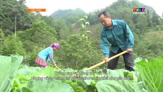 Chuyện bản tôi tiếng Mông (03/11/2024)