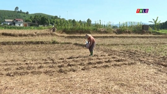 Tây Bắc chuyển động (04/11/2024)