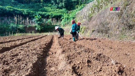 Thượng Hà khắc phục hậu quả thiên tai, ổn định đời sống cho Nhân dân