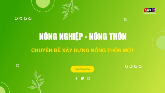 Nông nghiệp - Nông thôn: Xây dựng Nông thôn mới (05/11/2024)