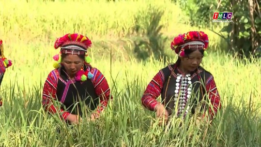 Tây Bắc chuyển động (06/11/2024)