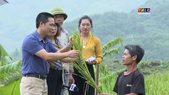 Tây Bắc chuyển động (09/11/2024)