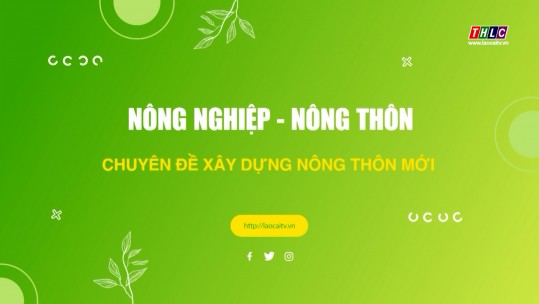 Nông nghiệp - Nông thôn (tiếng Mông) (10/11/2024)