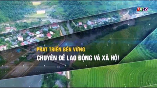 Phát triển bền vững: Lao động & Xã hội (14/11/2024)