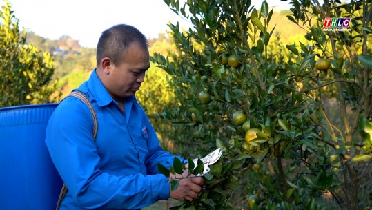 Bí thư Chi đoàn tiên phong phát triển kinh tế