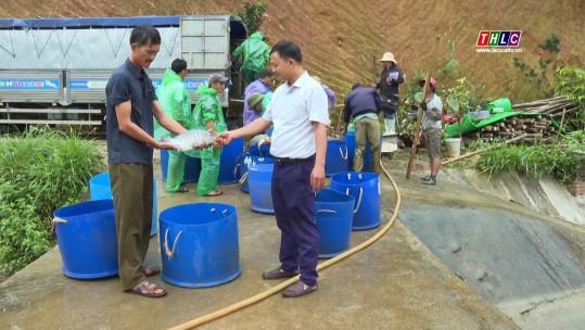 Đảng trong cuộc sống: Học và làm theo Bác (15/11/2024)