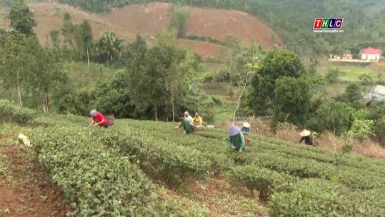 Tây Bắc chuyển động (18/11/2024)