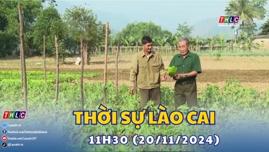 Thời sự Lào Cai 11h30 (20/11/2024)