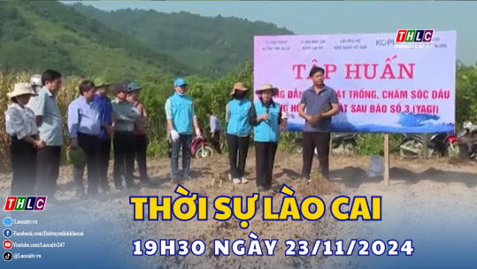 Thời sự Lào Cai 19h50 (23/11/2024)