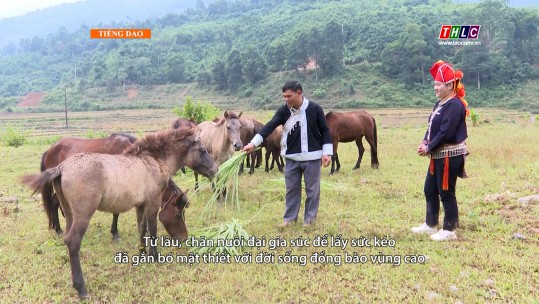 Chuyện bản tôi (tiếng Dao) (25/11/2024)