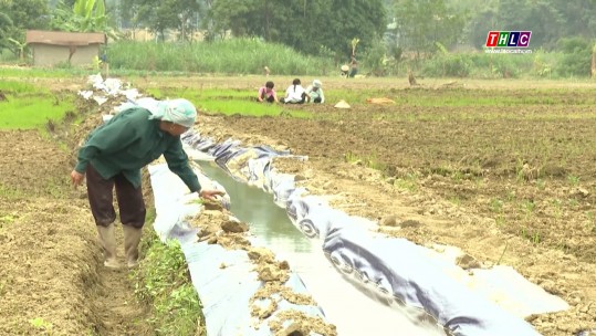 Sửa chữa, khắc phục các công trình thủy lợi sau thiên tai