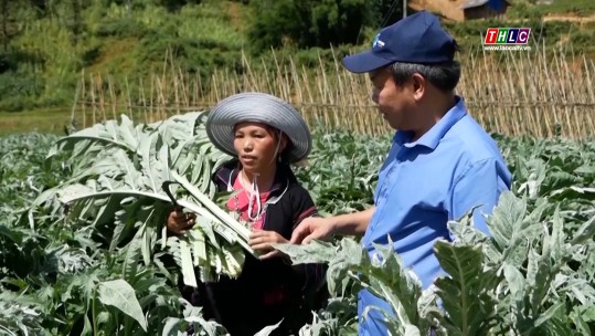 Nông nghiệp - Nông thôn: Củng cố hệ thống thuỷ lợi (26/11/2024)