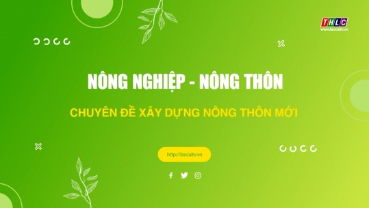 Nông nghiệp - Nông thôn: Xây dựng Nông thôn mới (03/12/2024)