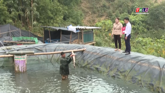 Thời sự Lào Cai 11h30 (04/12/2024)